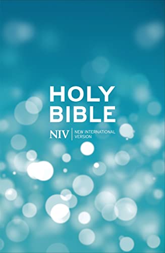 Blue hardback Bible with white text reading "HOLY BIBLE" and "NIV".