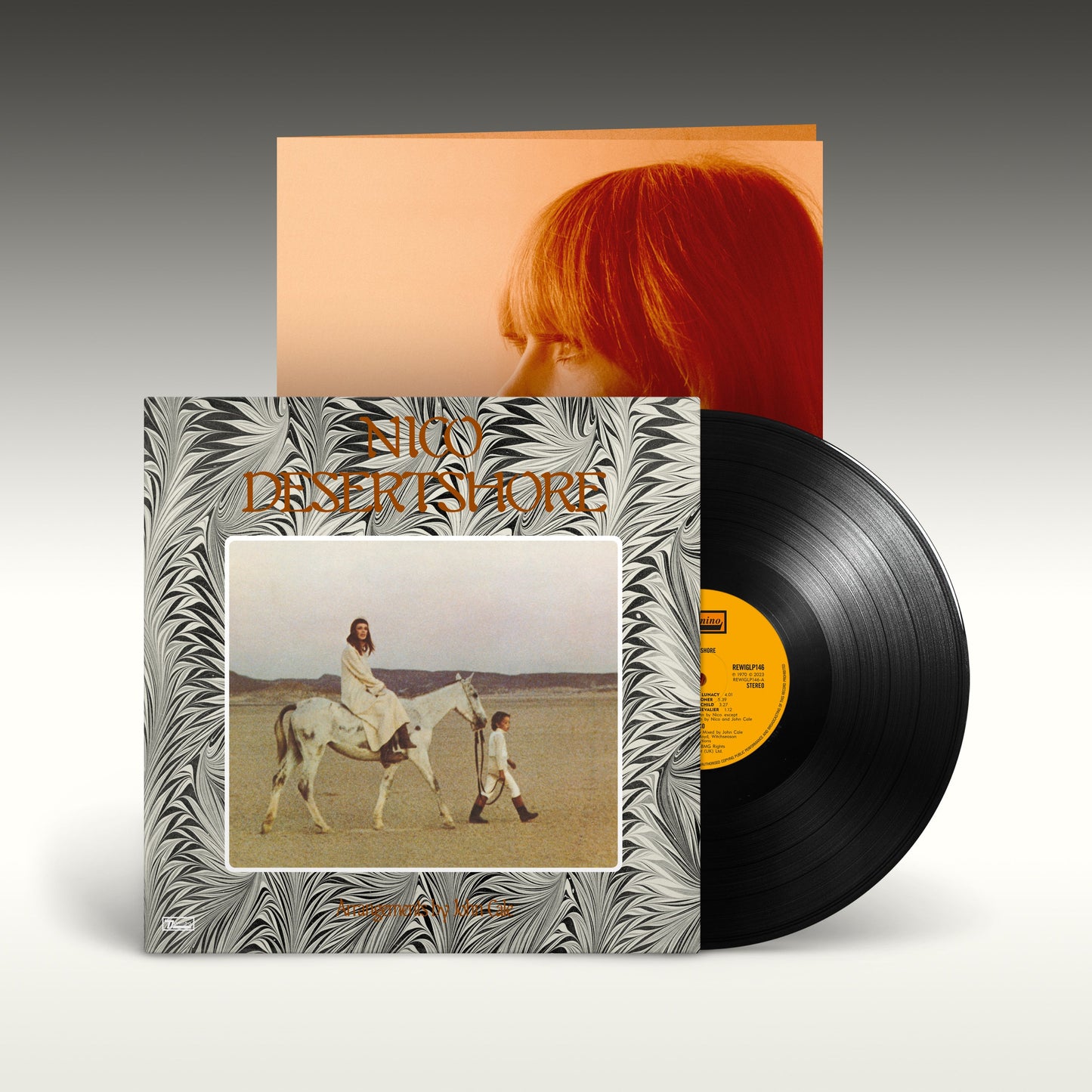 Nico's "Desertshore" vinyl record with a portrait and desert scene cover.