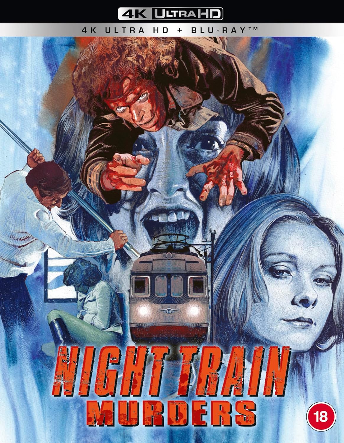 Movie poster for "Night Train Murders" featuring a train and distressed people.