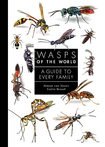 Book cover featuring detailed illustrations of diverse wasp species.