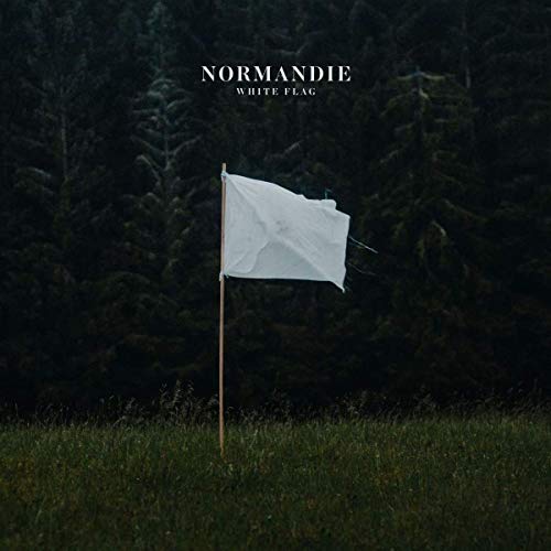 White flag in a grassy field with dark evergreen trees.