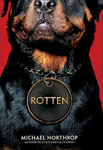 Close-up of a Rottweiler with a dog tag reading “Rotten.”