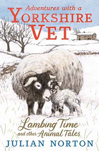 Book cover: sheep and lamb in snowy Yorkshire landscape.