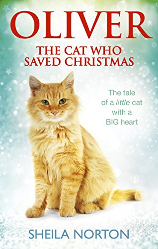 Cover of children’s book featuring a fluffy orange cat, “Oliver.”