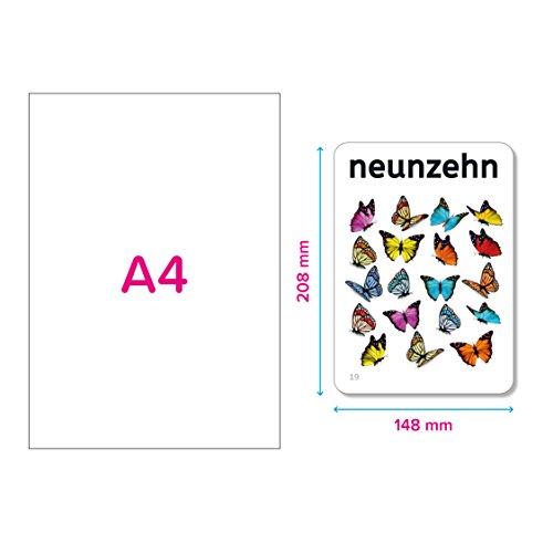 A4 flashcard with German number "neunzehn" and butterfly illustration.