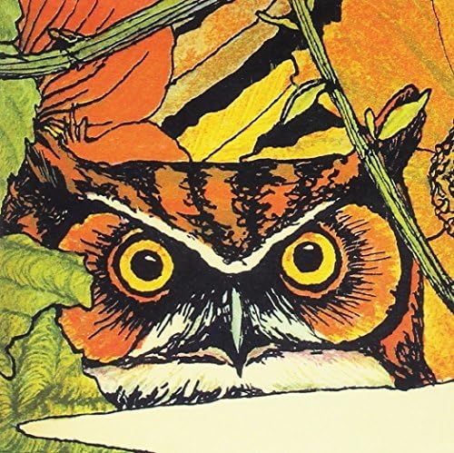 Close-up illustration of an owl’s face amidst orange and green foliage.