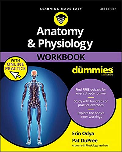 Anatomy & Physiology Workbook for Dummies, 3rd Edition cover with human anatomy illustration.