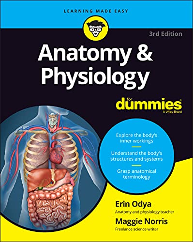 Book cover for Anatomy and Physiology For Dummies, 3rd Edition, featuring human internal organs.
