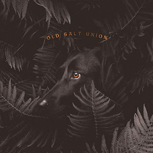 Album cover with a black dog's face surrounded by ferns, orange text "Old Salt Union" above.
