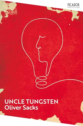 Red book cover with a white line drawing of a face-shaped lightbulb.