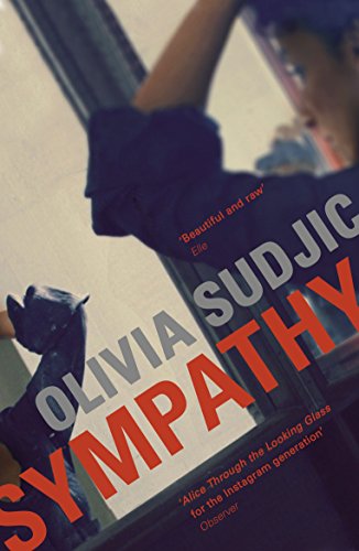 Book cover with red text reading "Sympathy" and a blurred figure.