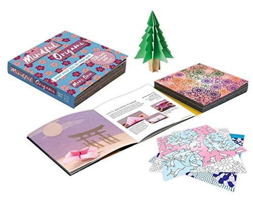 Origami kit with patterned paper, book, and examples of folded models.
