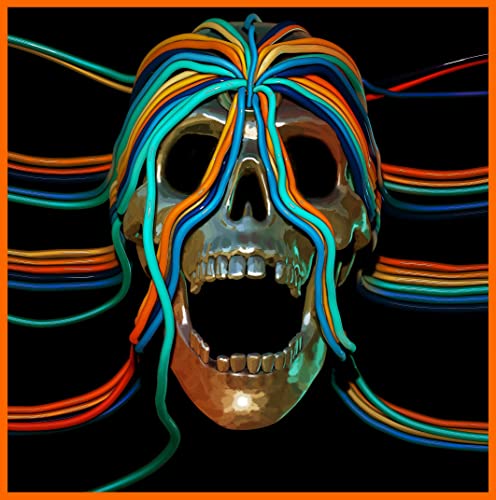 Silver skull with colorful, radiating strands against a black background.