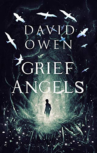 Book cover: "Grief Angels" with a lone figure and flying birds.