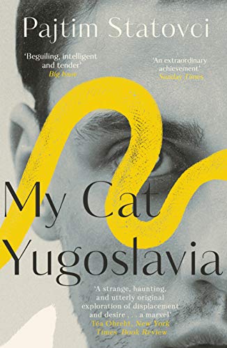 Book cover: a man's face with a yellow snake-like shape and title text.