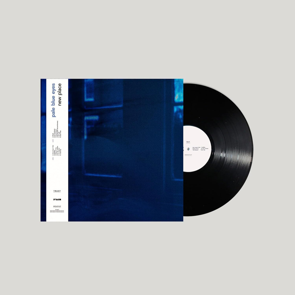 Pale Blue Eyes "New Place" vinyl record with blue cover art.