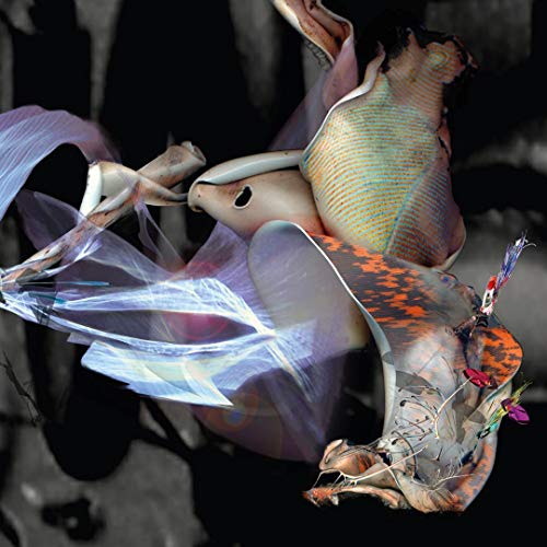 Abstract digital art featuring a fragmented human form in cool tones.