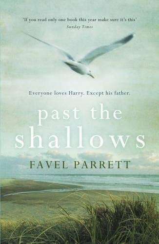 Book cover: seagull over coastal landscape, title "Past the Shallows".