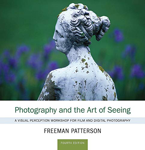 Book cover featuring a weathered stone bust against a floral background.