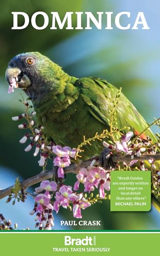 A green parrot perched on a flowering branch on the cover of a travel guide.