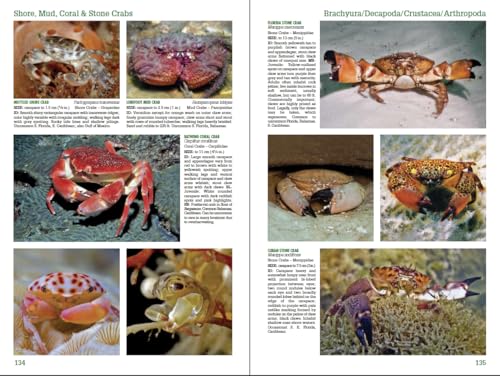 Open book page displaying detailed photographs and descriptions of various crabs.