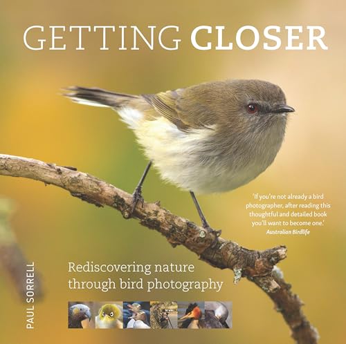 Book cover featuring a small, brown bird perched on a branch.