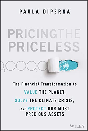 Book cover with title Pricing the Priceless and an image of a torn page.