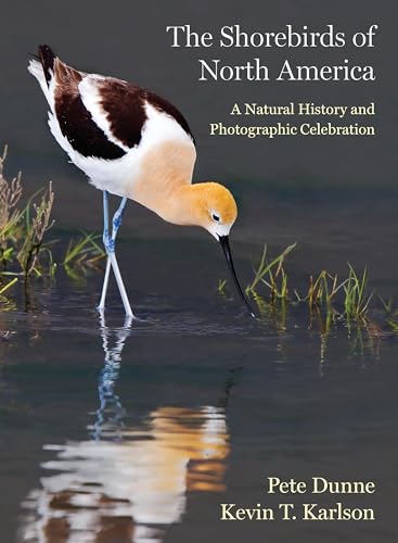 Book cover featuring a foraging ruddy turnstone shorebird in water.