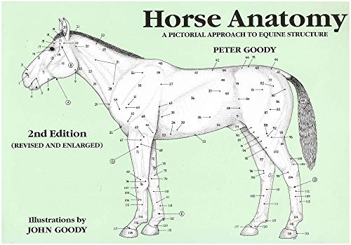 Line drawing of a horse with numbered anatomical features, book cover.