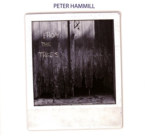Polaroid-style CD cover for Peter Hammill’s “From the Trees,” showing graffiti on wood.