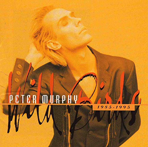Peter Murphy album cover, “Wild Birds,” featuring a portrait with red brushstrokes.