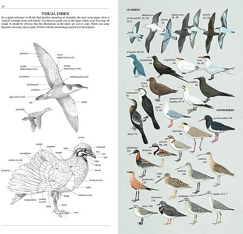 Page from “Slater Field Guide to Australian Birds” showing bird illustrations and diagrams.