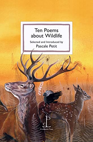 Book cover featuring a stag, a fawn, and a bird against a golden background.