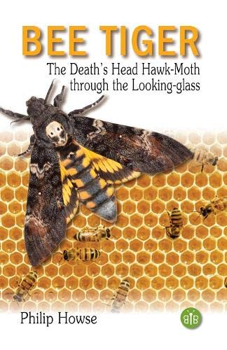 Book cover featuring a Death’s Head Hawk-moth against a honeycomb background.