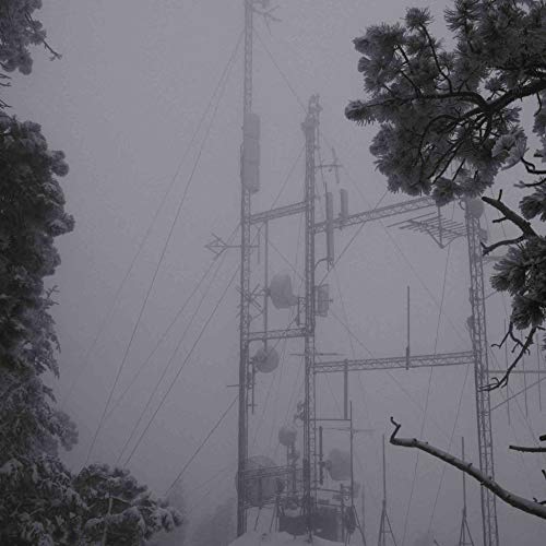 Foggy image of a tall communication tower framed by tree branches.