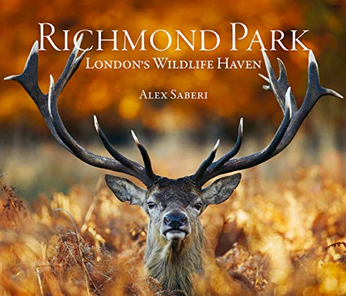 Book cover featuring a close-up of a red deer stag in foliage.