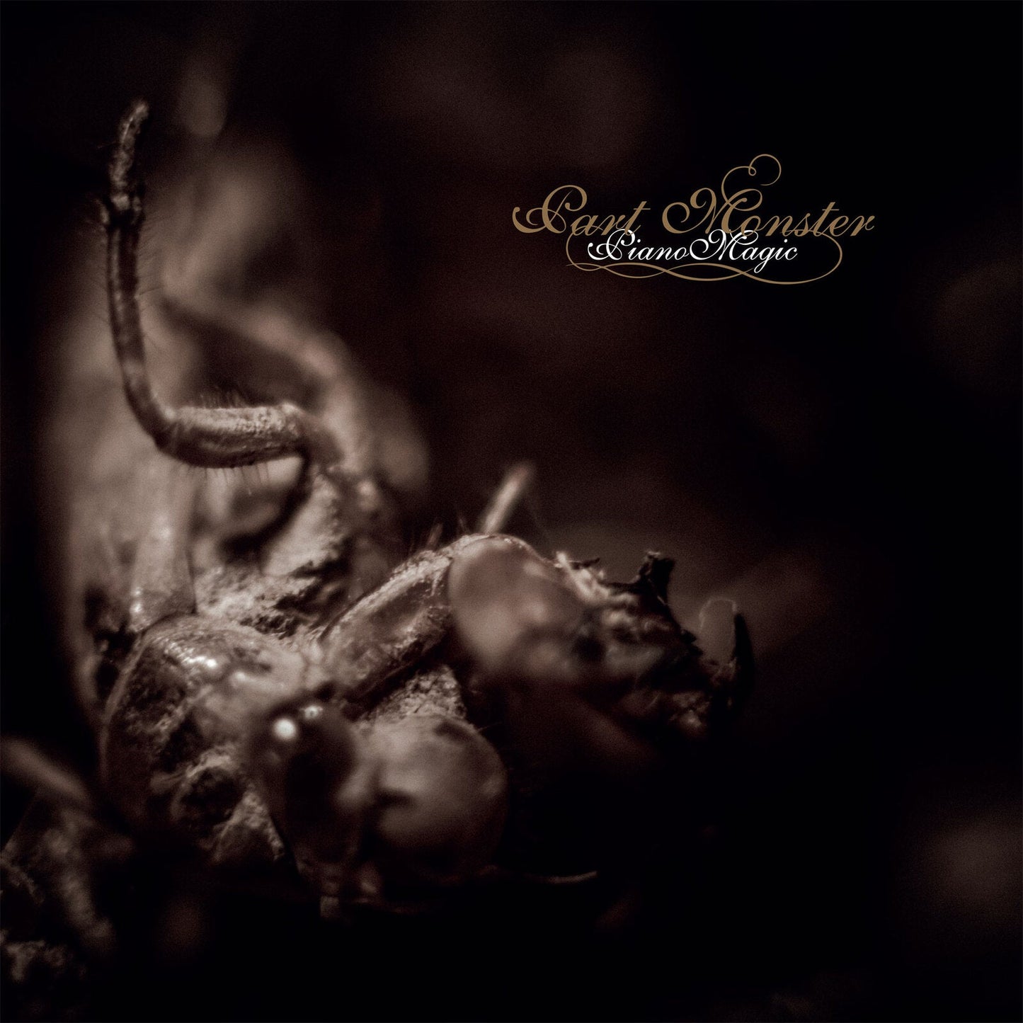 Dark, sepia-toned image of a tarantula on piano keys, with text.