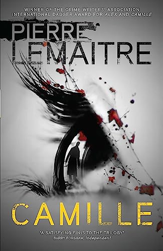 Book cover for Camille by Pierre Lemaitre featuring a silhouette inside a dark eye.