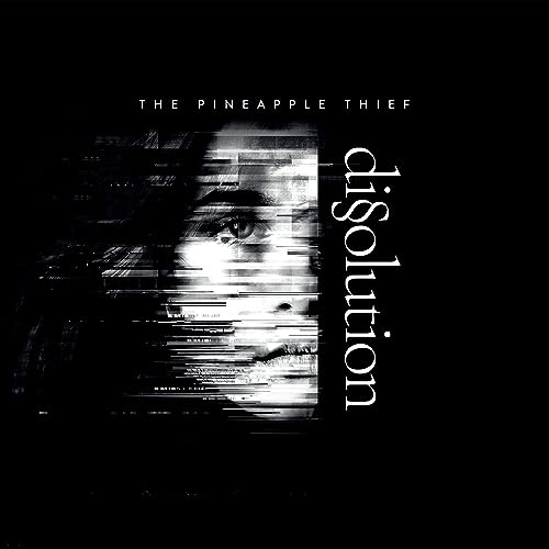 Album cover with a glitch-effect portrait of a face and the title Dissolution.