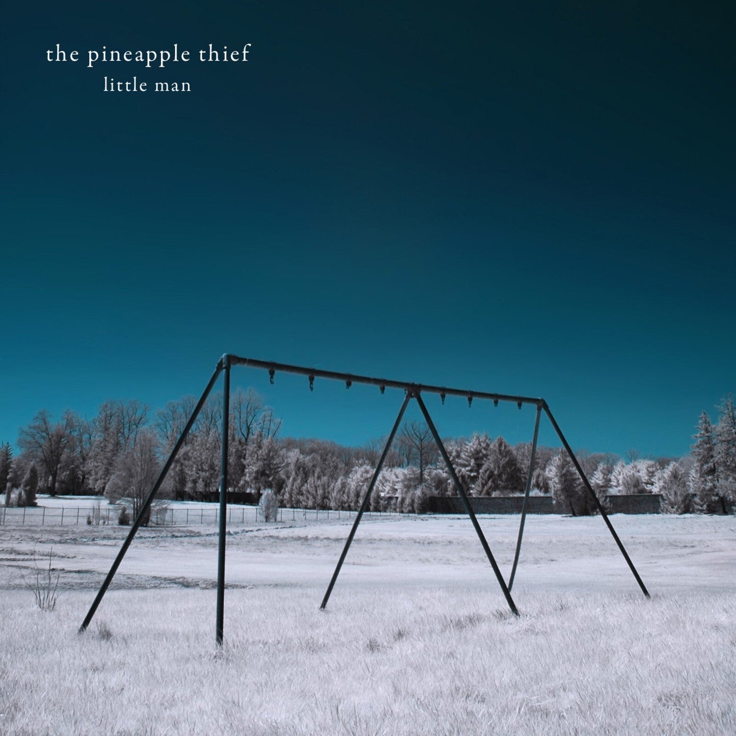 Album cover for "Little Man" by The Pineapple Thief, featuring a swing set.
