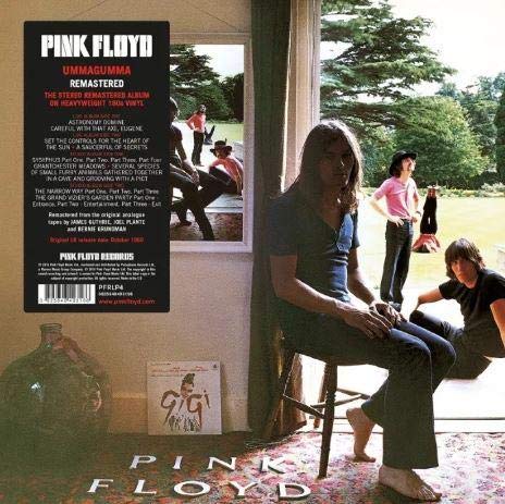 Pink Floyd Ummagumma vinyl cover featuring band members in a room and garden scene.