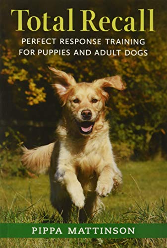 Book cover showing a golden dog running through a field with text above.