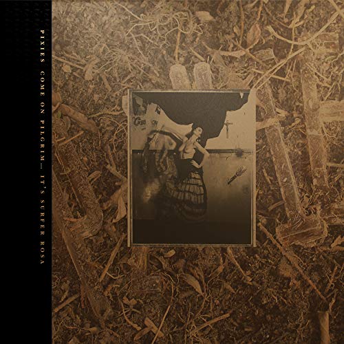 Pixies album cover: sepia-toned photo within a textured, branch-filled frame.