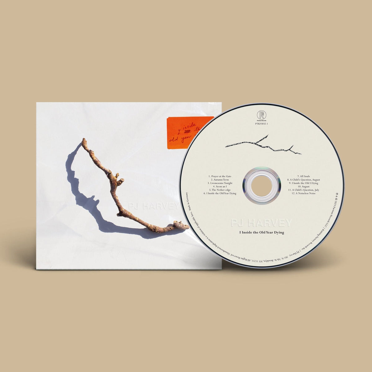 PJ Harvey CD with a pale blue cover featuring a bare branch.