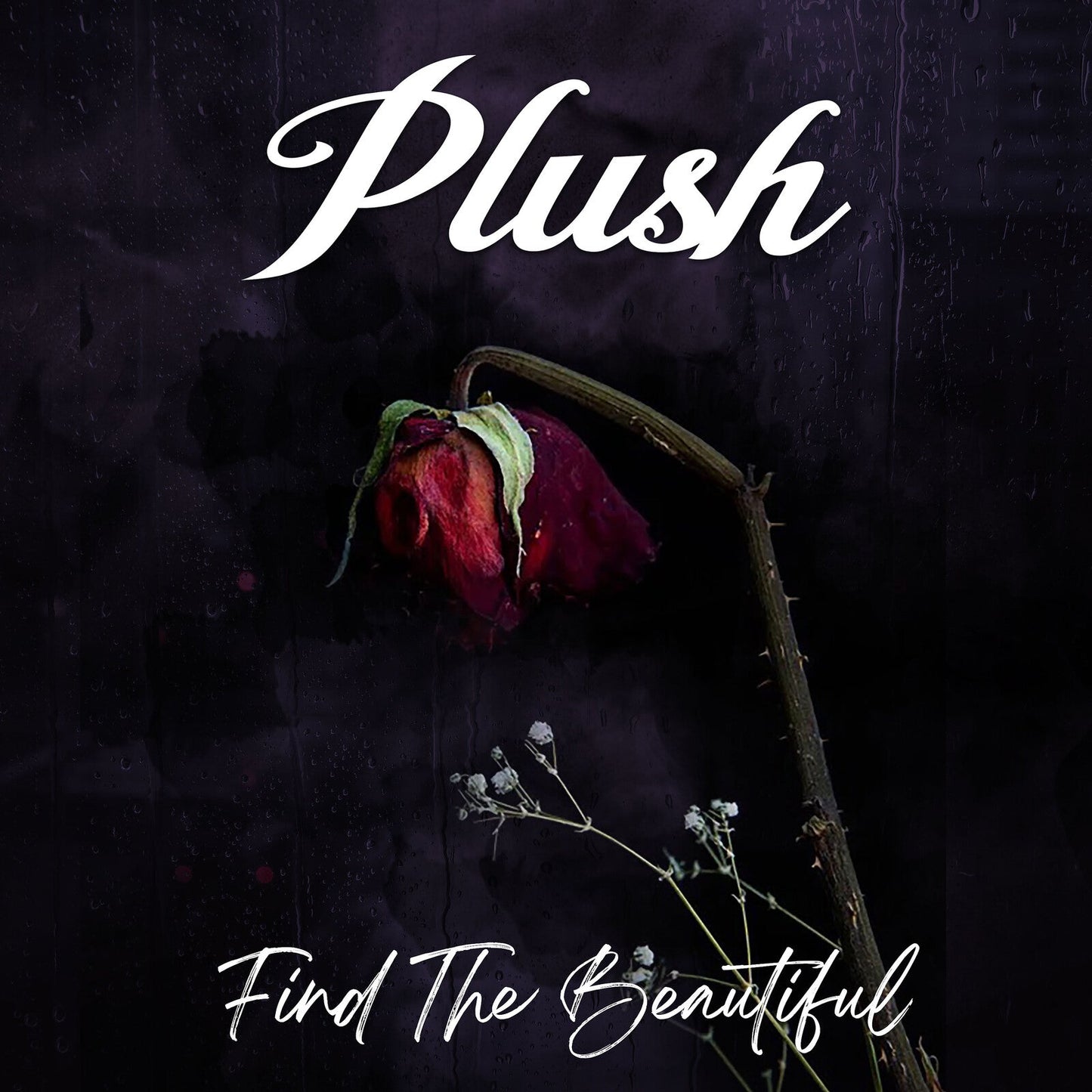 CD cover for Plush’s “Find The Beautiful” featuring a wilted red rose.