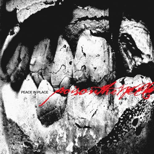 Vinyl record album cover for Poison The Well's Peace In Place.