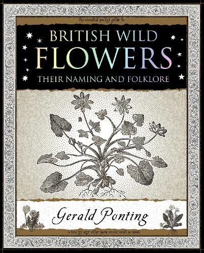 Book cover for British Wild Flowers featuring a botanical illustration on a stippled background.