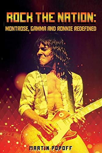 Book cover featuring a guitarist playing a sunburst electric guitar.