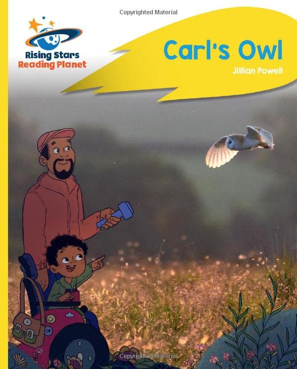 Book cover: boy, owl, and colorful plants against a purple sky.