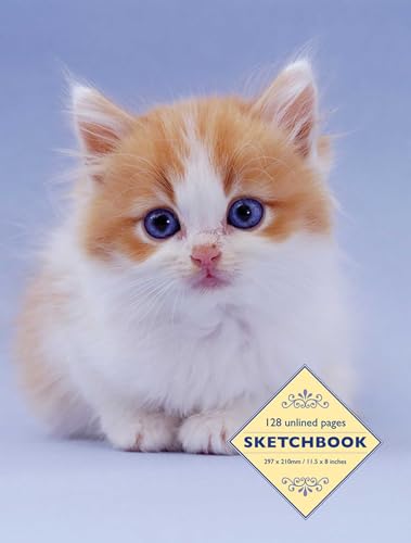 Fluffy orange and white kitten portrait on a sketchbook cover.